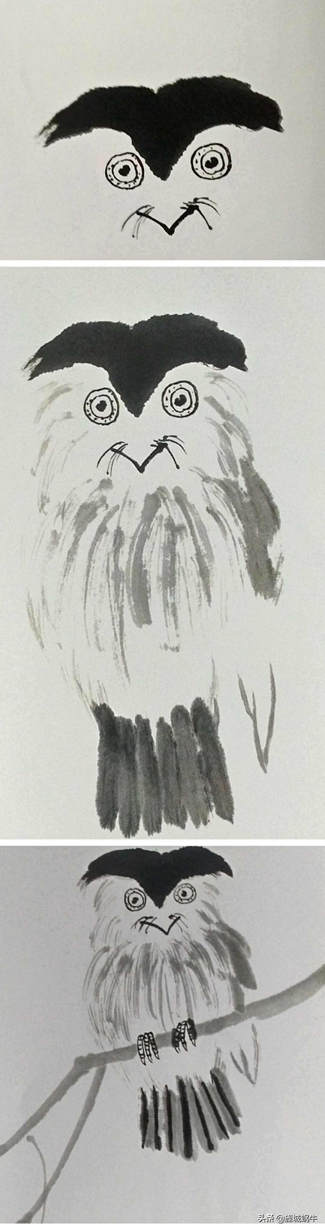 一学就会的禽鸟画法书,禽鸟的画法大全图解