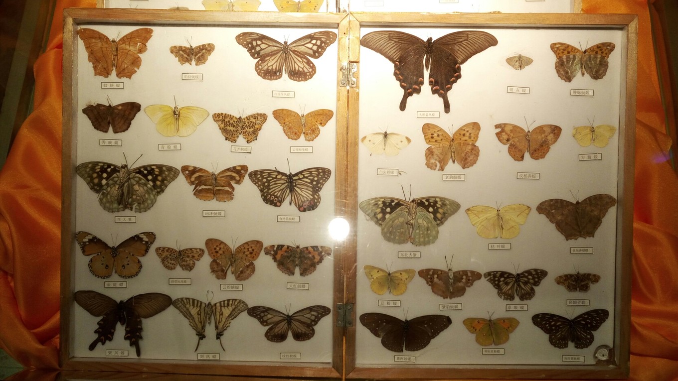 山东滕州旅游排名,山东滕州旅游视频