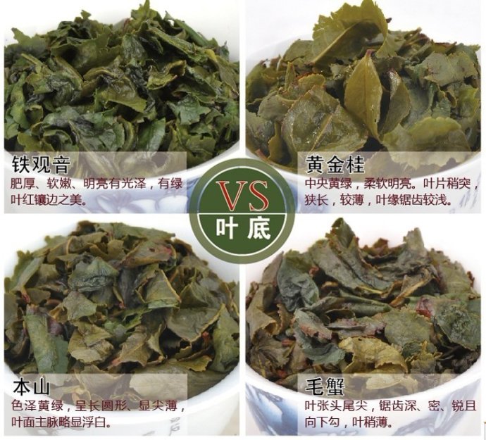 青茶如何进行乌龙茶分类,茶知识的讲解