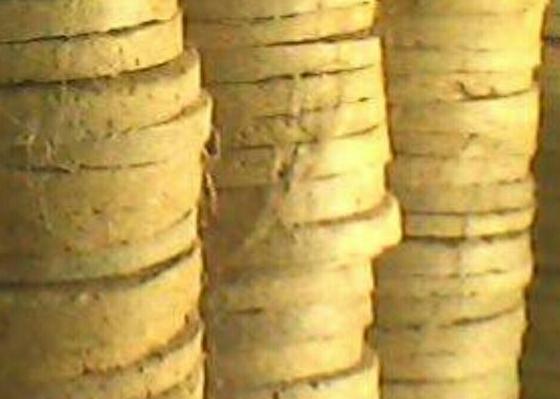 怕烂根的植物怎么养,怕旱的盆栽植物怎么养