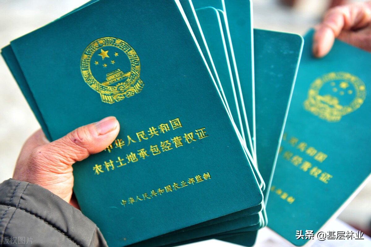 承包林地合同到期林权证还有效吗,新老林权证以哪个为准