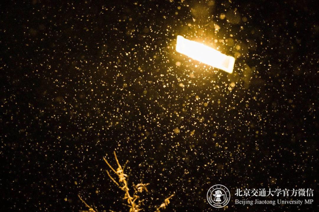 等你！交大气味图书馆，今日“开放”