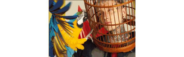 易烊千玺国潮同款,有什么平价的易烊千玺同款