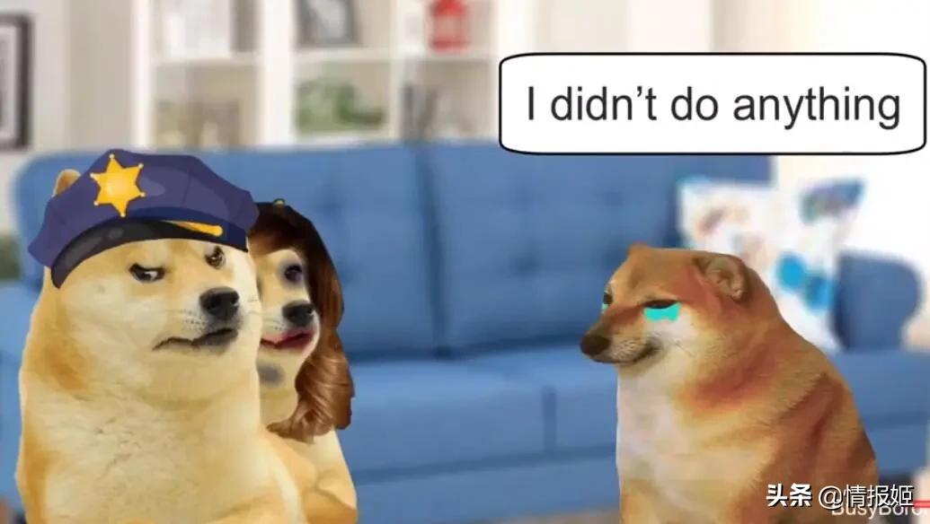 被做成表情包的柴犬doge,doge柴犬表情包万恶之源