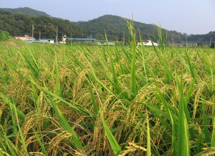 深化综合改革建宁惠农显身手