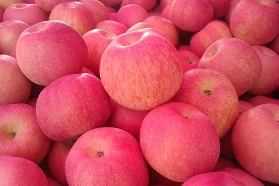 运城哪个县苹果好吃,运城苹果哪个县最好