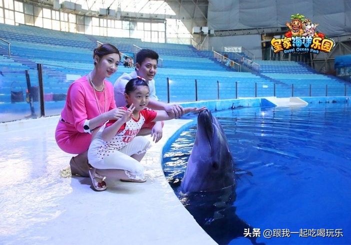 抚顺海洋馆外面有什么,沈阳和抚顺哪个海洋馆比较好