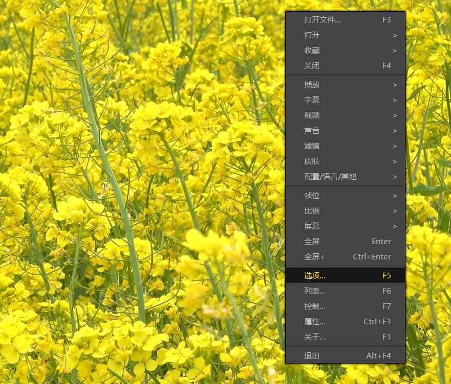 potplayer播放4k视频掉帧卡顿,potplayer放4k卡顿怎么解决