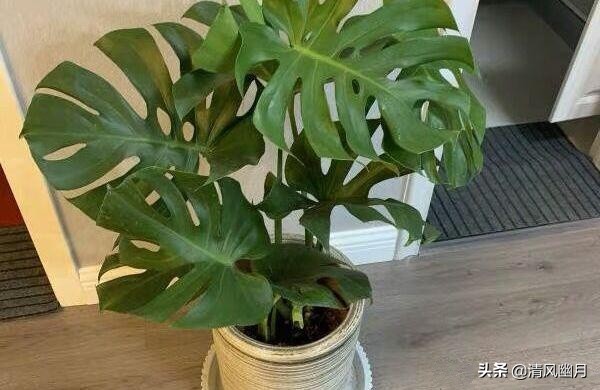 新房怎么开窗通风效果最好,室内如何正确开窗通风