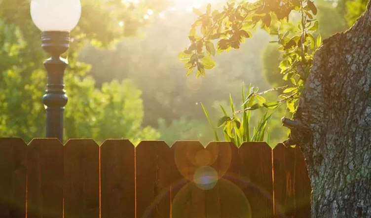 做个“三心二意”的人,让生活充满阳光