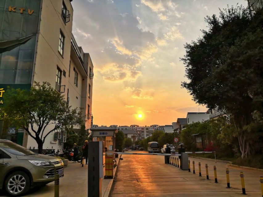 为什么蚊子只咬一些人,为什么同在一间房蚊子只咬某个人