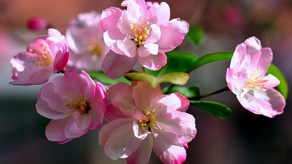 男人越喜欢你越不跟你说话为什么,男人越喜欢你越不和你说话