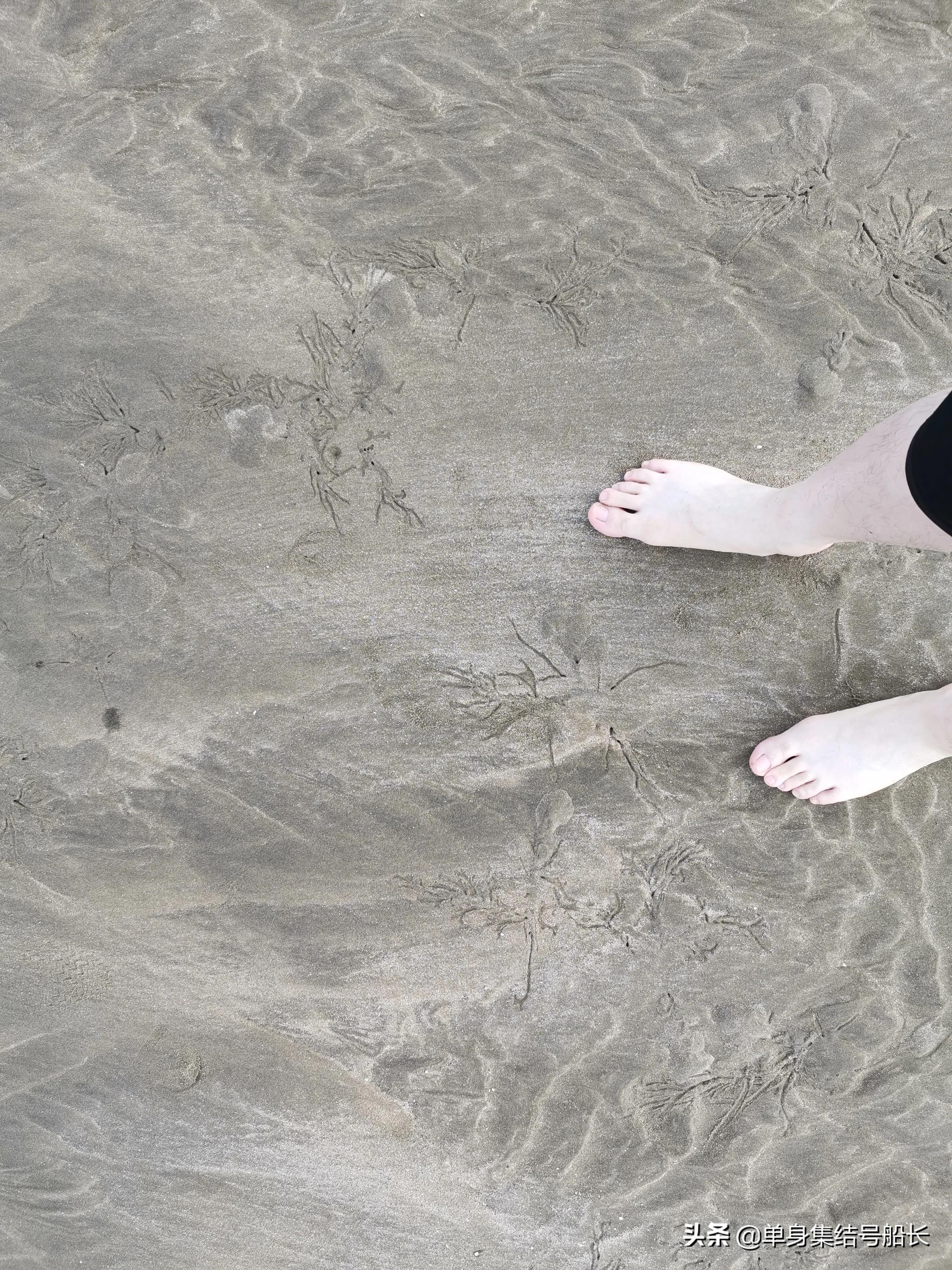 宁波石浦风景区,宁波石浦渔村沙滩