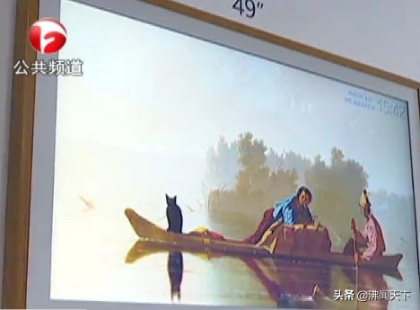 高质量发展高清图,高质量发展看山东视频