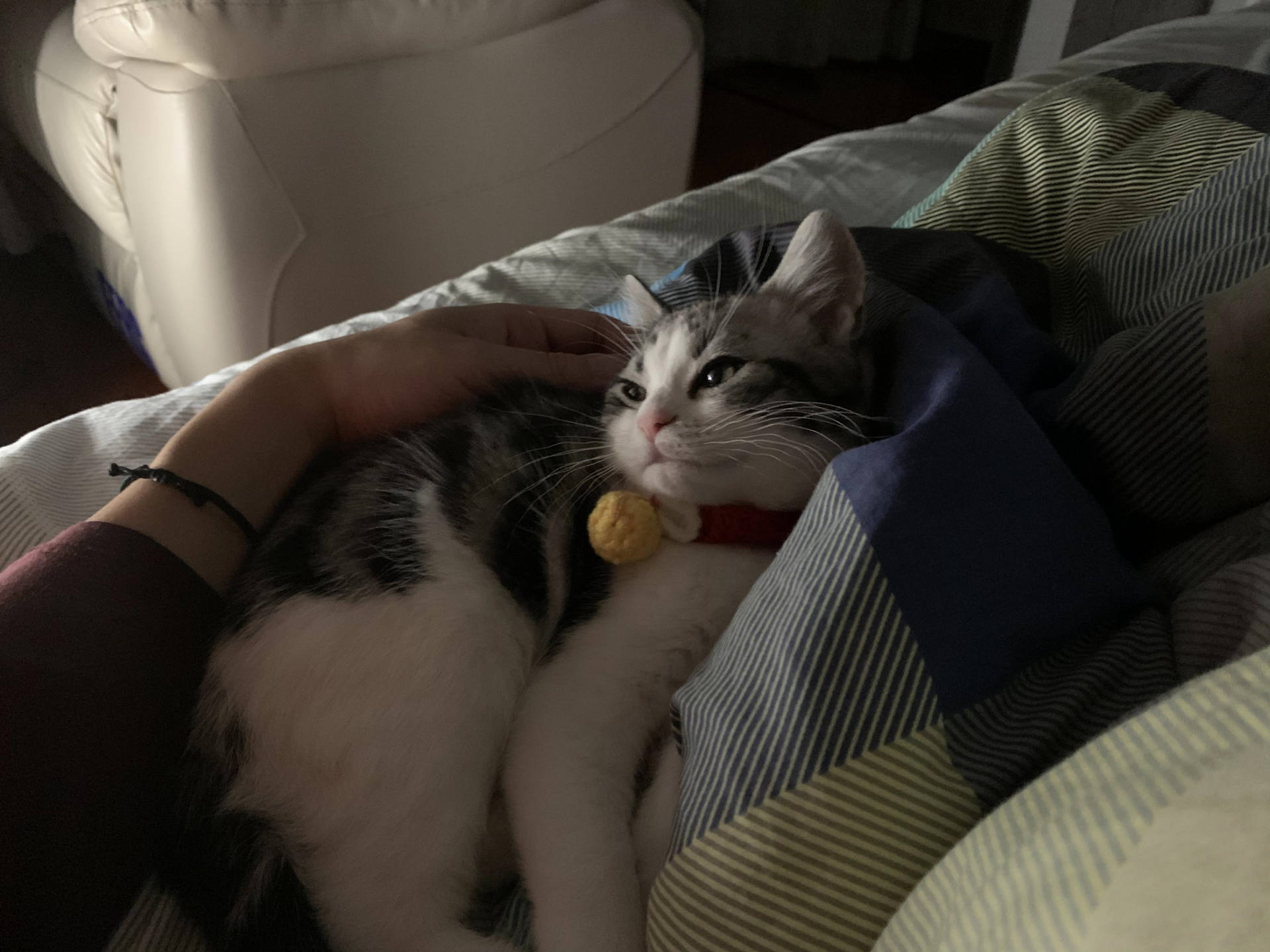 云米洗烘一体机master2s,云米m2洗烘一体机