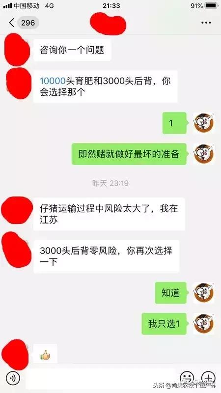 如果现在有育肥1万头和后备3000头两个项目，你会选哪个？