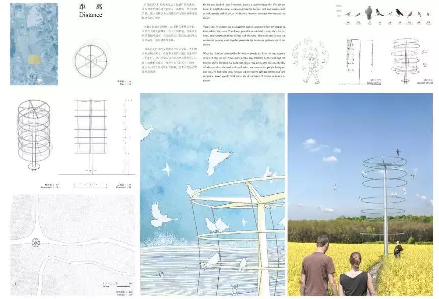 获奖作品广场舞大赛,莲花山杯全国摄影大赛