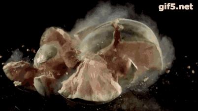 当画面全部慢下来的时候,当画面定格在一瞬间