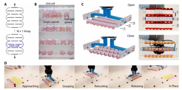 中国科学家研究纳米机器人,中国科学家团队发明的机器人
