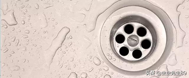 蹲便厕所小飞虫如何彻底消除,怎样消除厕所里的飞虫