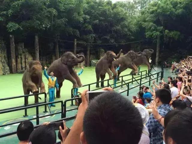 五一广东游玩攻略人少,五一广东免费的旅游景点