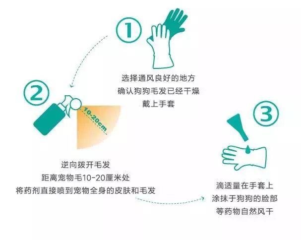 听说！前男友竟然把我的“阿拉斯加”变成了秃驴……