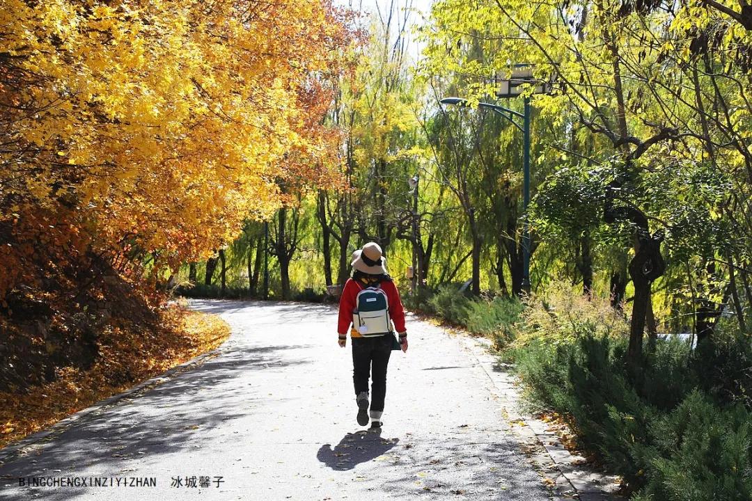 古北水镇游览路线,从古北水镇爬司马台