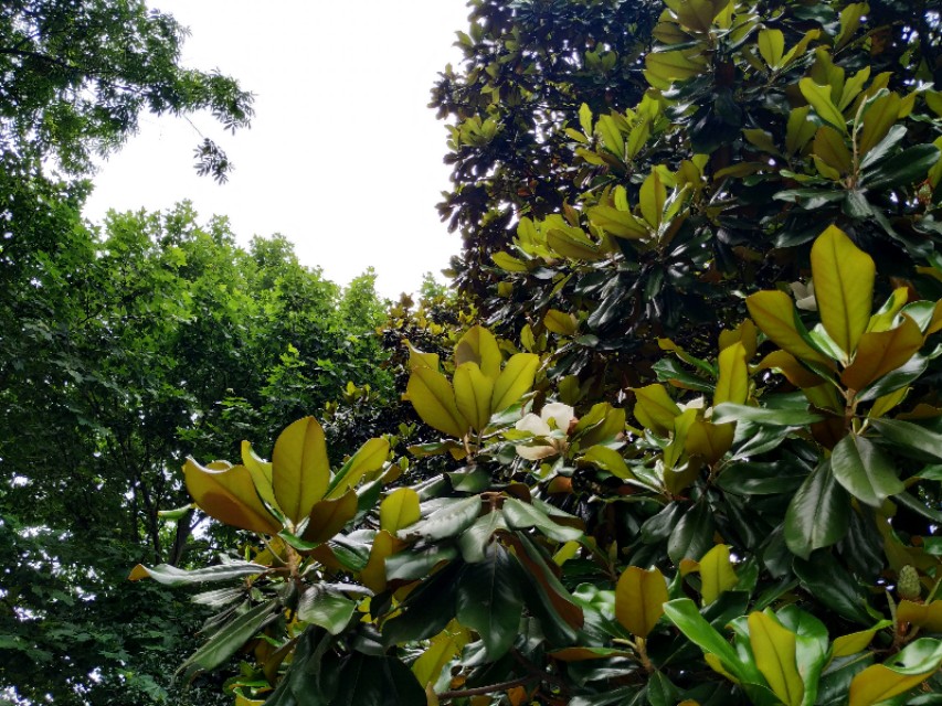 杭州古城门十门,杭州十大古城门