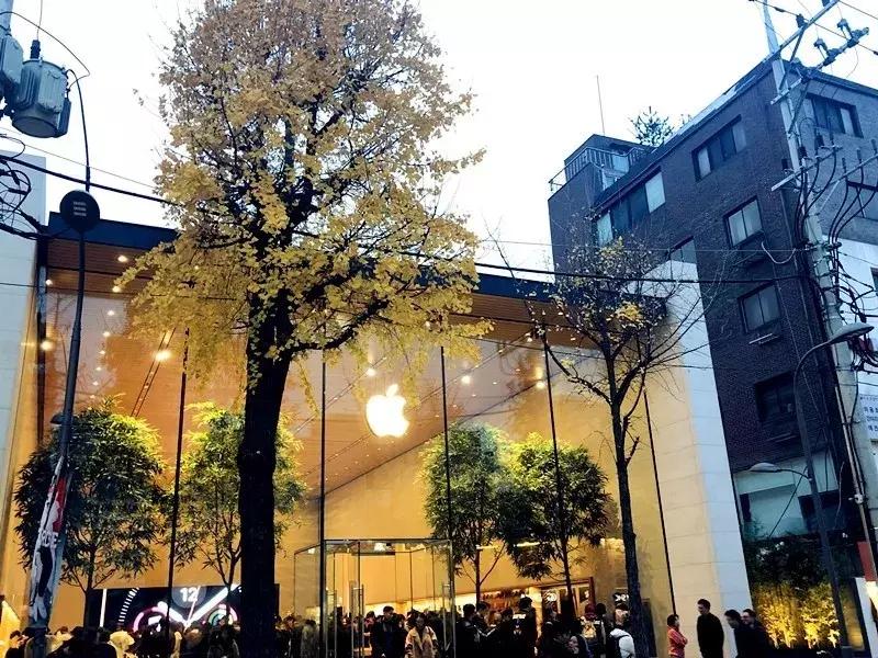 深圳这次入冬成功了吗,深圳终于进入了深秋的天气