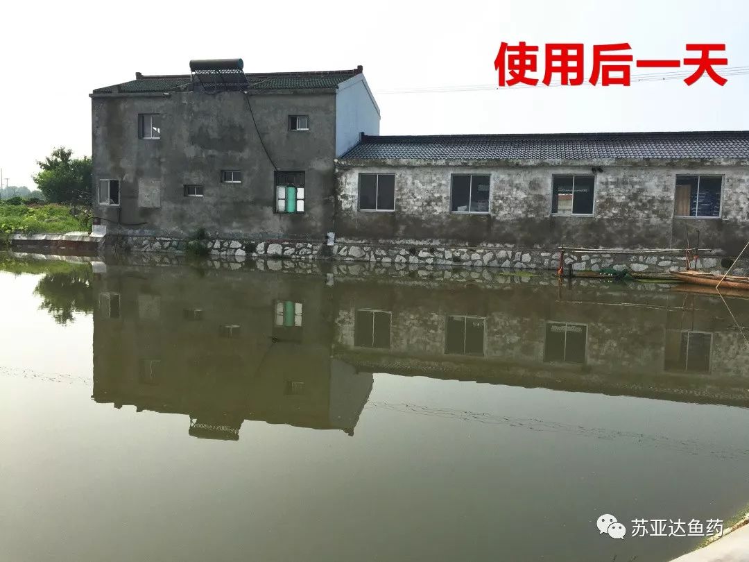 降氨浊水清，一招搞定白浊水