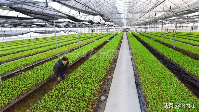 厉害发明专利,厉害了中国的技术