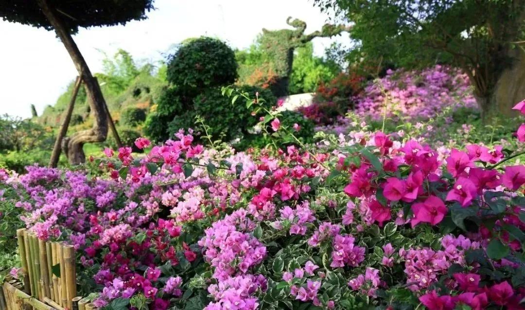 东南花都花博园全新升级鹿岛公园,东南花都花博园导览图