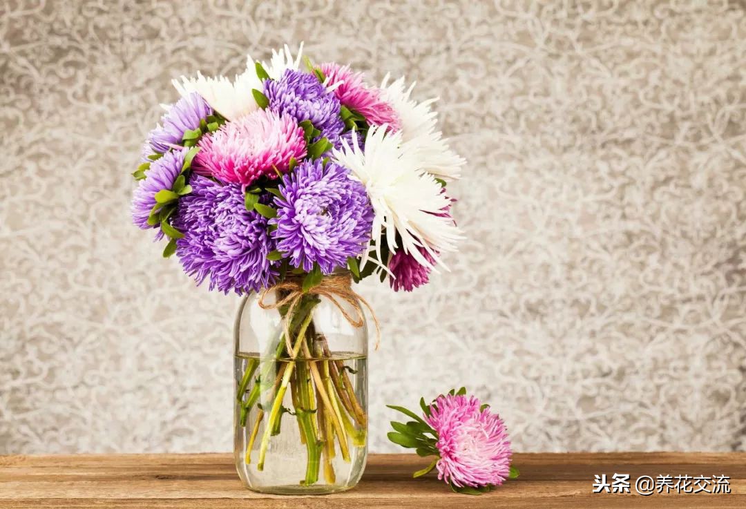 养干花花瓶放水吗,养康乃馨花瓶放多少水