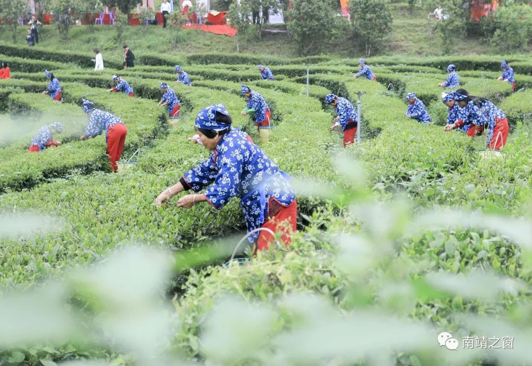 「厉害了」蝉联全省经济发展“十佳”县！南靖，就是这么牛