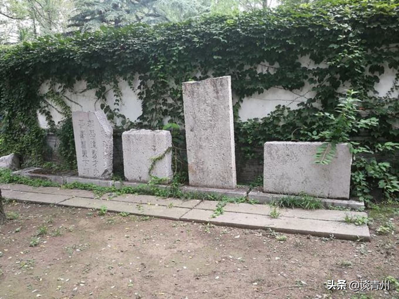 青州古城一日游视频,青州古城夜晚一日游