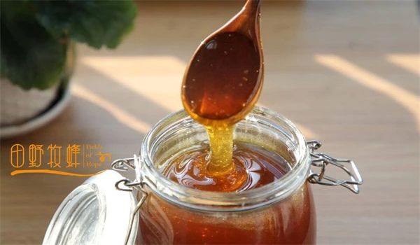 枣花蜜好还是荆条蜜好,枣花蜂蜜和槐花蜜哪个营养价值高