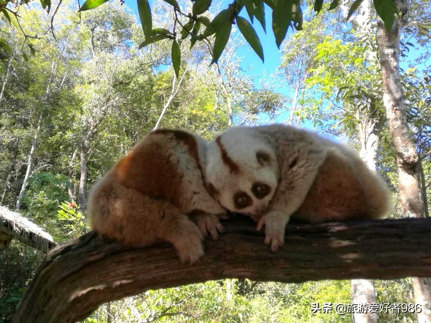昆明大理腾冲版纳七日自驾游,腾冲到西双版纳自驾
