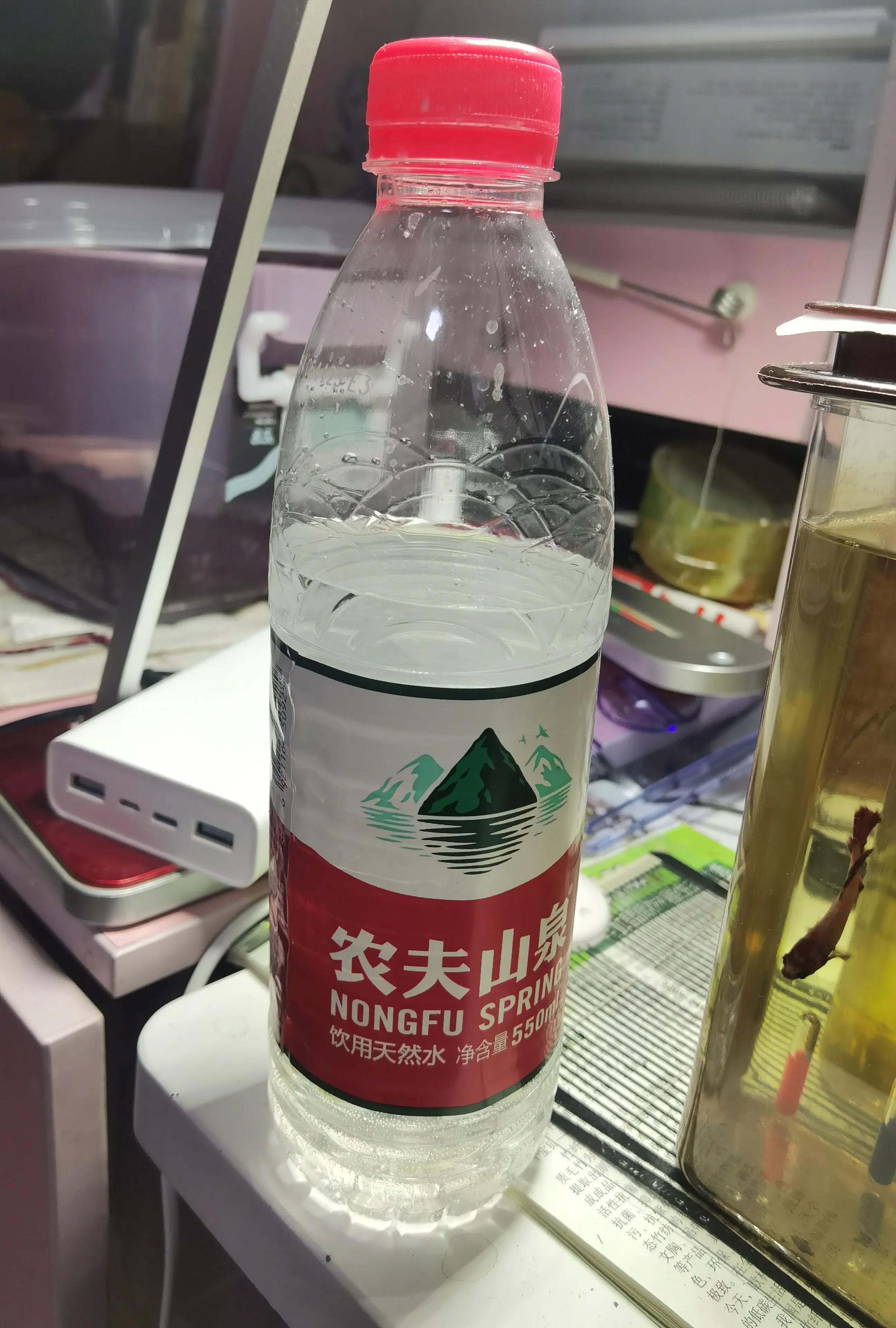 陆生寄居蟹饲养要注意什么,陆生寄居蟹怎么养