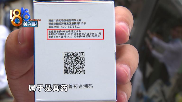 蓝猫传腹症状会死吗,蓝猫被检查出脑瘫