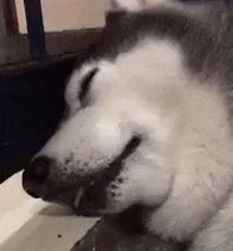 三伏贴烫伤瘙痒怎么办,贴三伏贴穴位有灼烧感