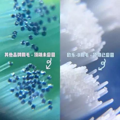 双十一值得入手的牌子,双十一值得买的大牌