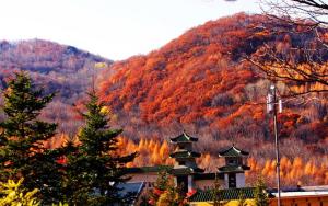 吉林省蛟河市地理位置,吉林省蛟河市地图