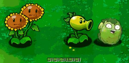 植物大战僵尸字体变黑块,植物大战僵尸命名报错