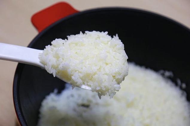 德国原装进口双立人珐琅锅做饭,法国原单铸铁珐琅锅