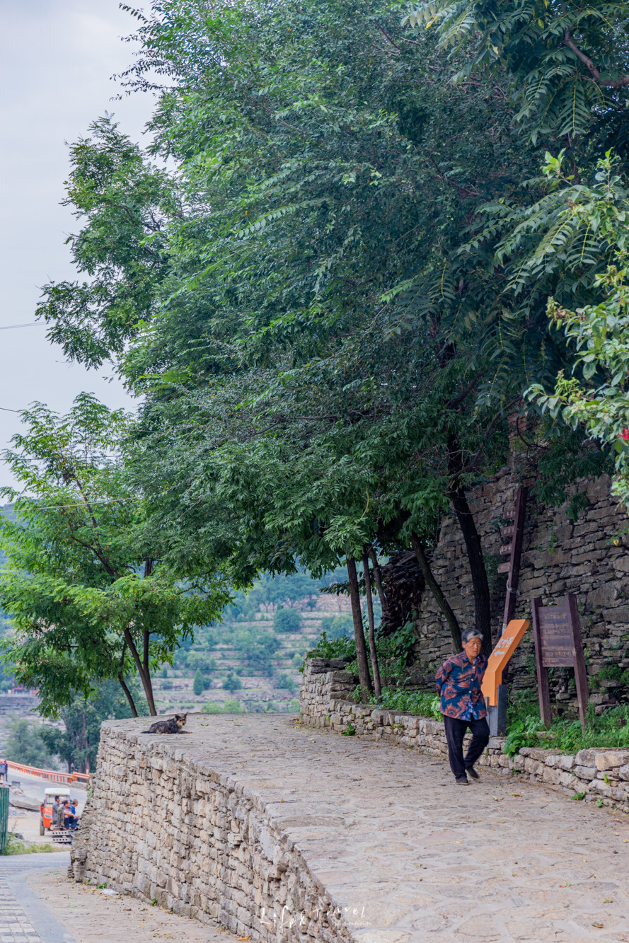 山东青州旅游攻略大全,山东青州旅游攻略夏天景点