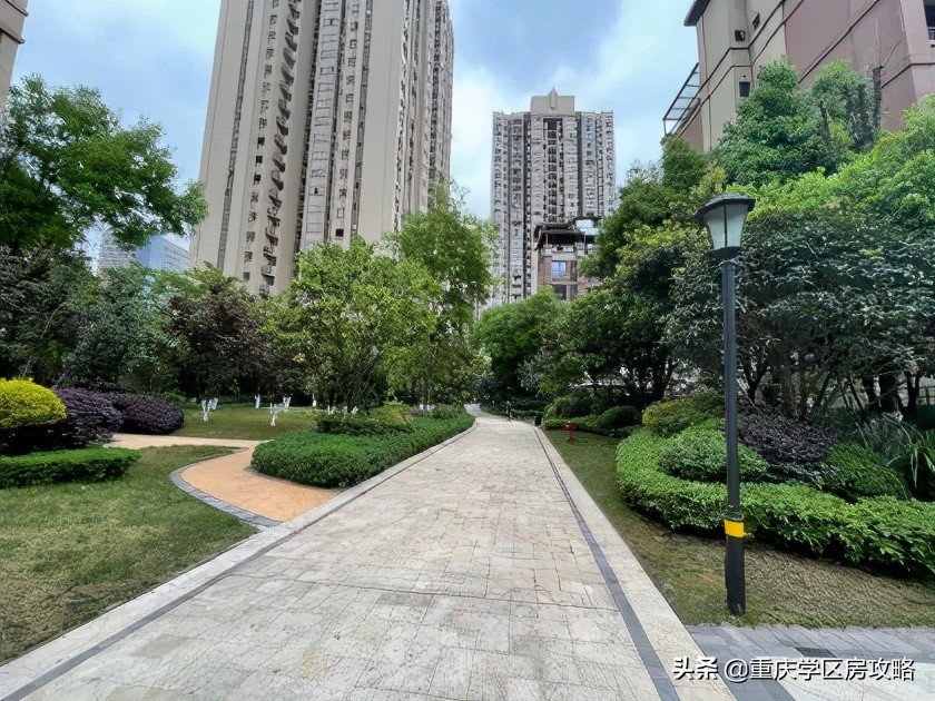 照母山的重点中学,照母山优质学区