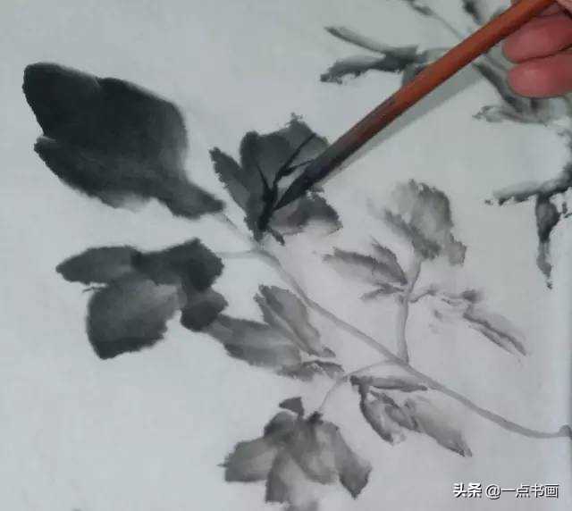 王绣写意牡丹画法步骤,王兮然写意牡丹画法视频大全