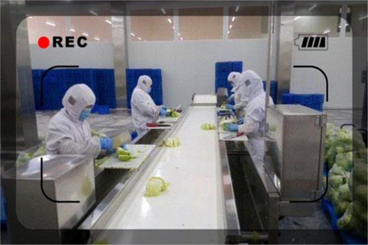 农村办个什么加工厂比较好,农村50个小型加工厂加盟暴利