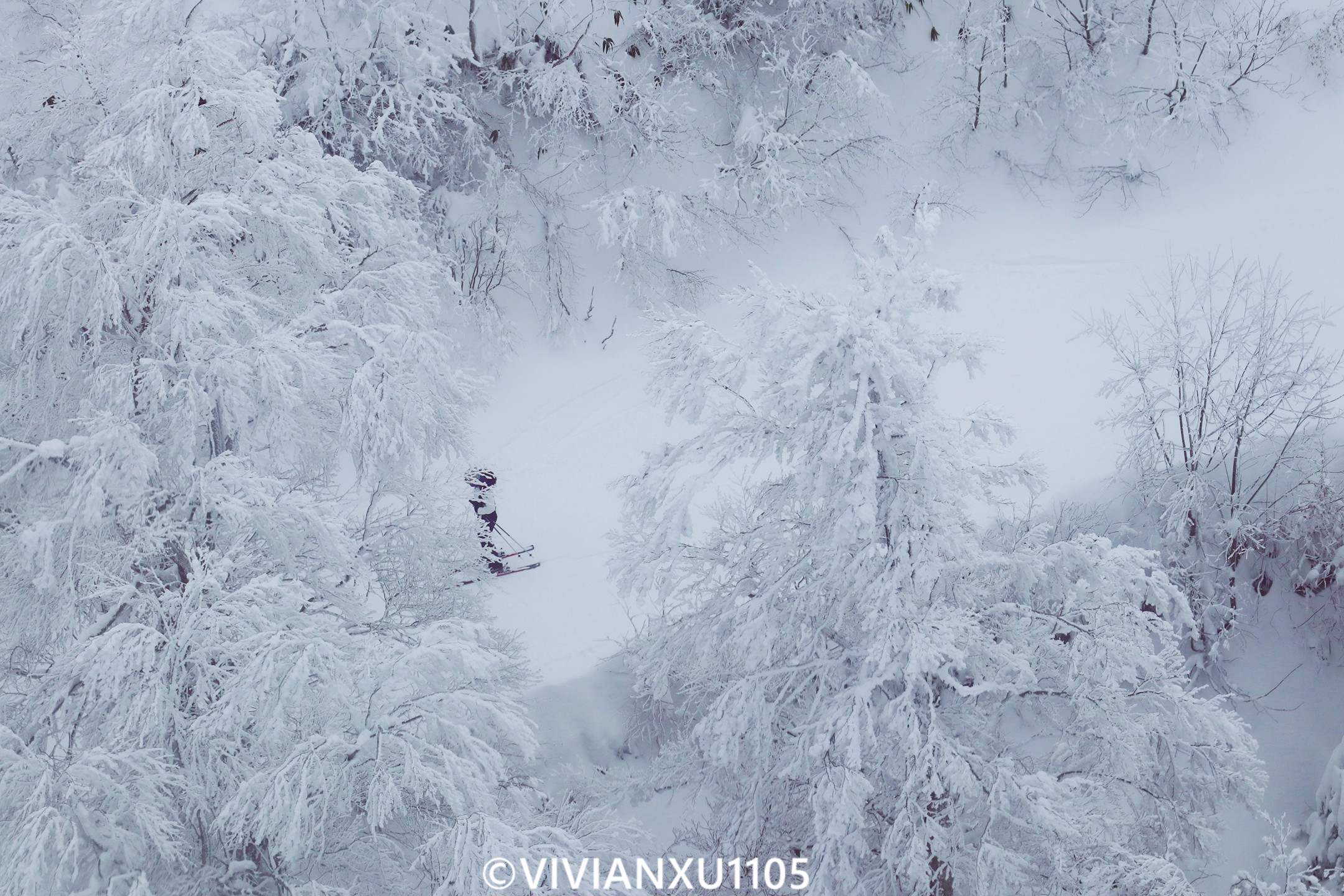 塑料母女日本东北深度游(秋田山形)