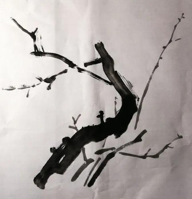 国画写意梅韵教程,大写意梅韵国画